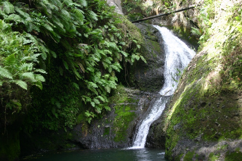 Wigmore's Waterfall at the end of the trail.